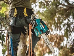 6667763974c1d40008e43e6b 830 350 6667763974c1d40008e43e6b 830 350