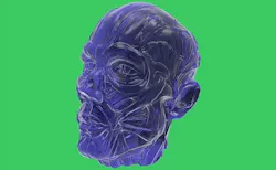 6667793474c1d40008e442f7 830 350 6667793474c1d40008e442f7 830 350