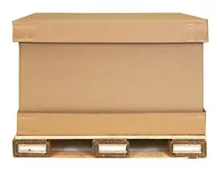 6667798274c1d40008e44370 830 350 6667798274c1d40008e44370 830 350