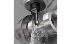 66677a7e74c1d40008e444fe 830 350 66677a7e74c1d40008e444fe 830 350