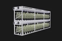 66677ed594f10f0008378b0a 830 350 66677ed594f10f0008378b0a 830 350