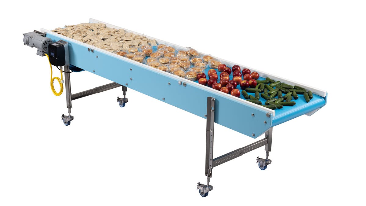 DynaClean S series full washdown conveyor with food