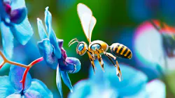 A 3D-rendering of an automated robot bee pollinating a blue orchid. A 3D-rendering of an automated robot bee pollinating a blue orchid.