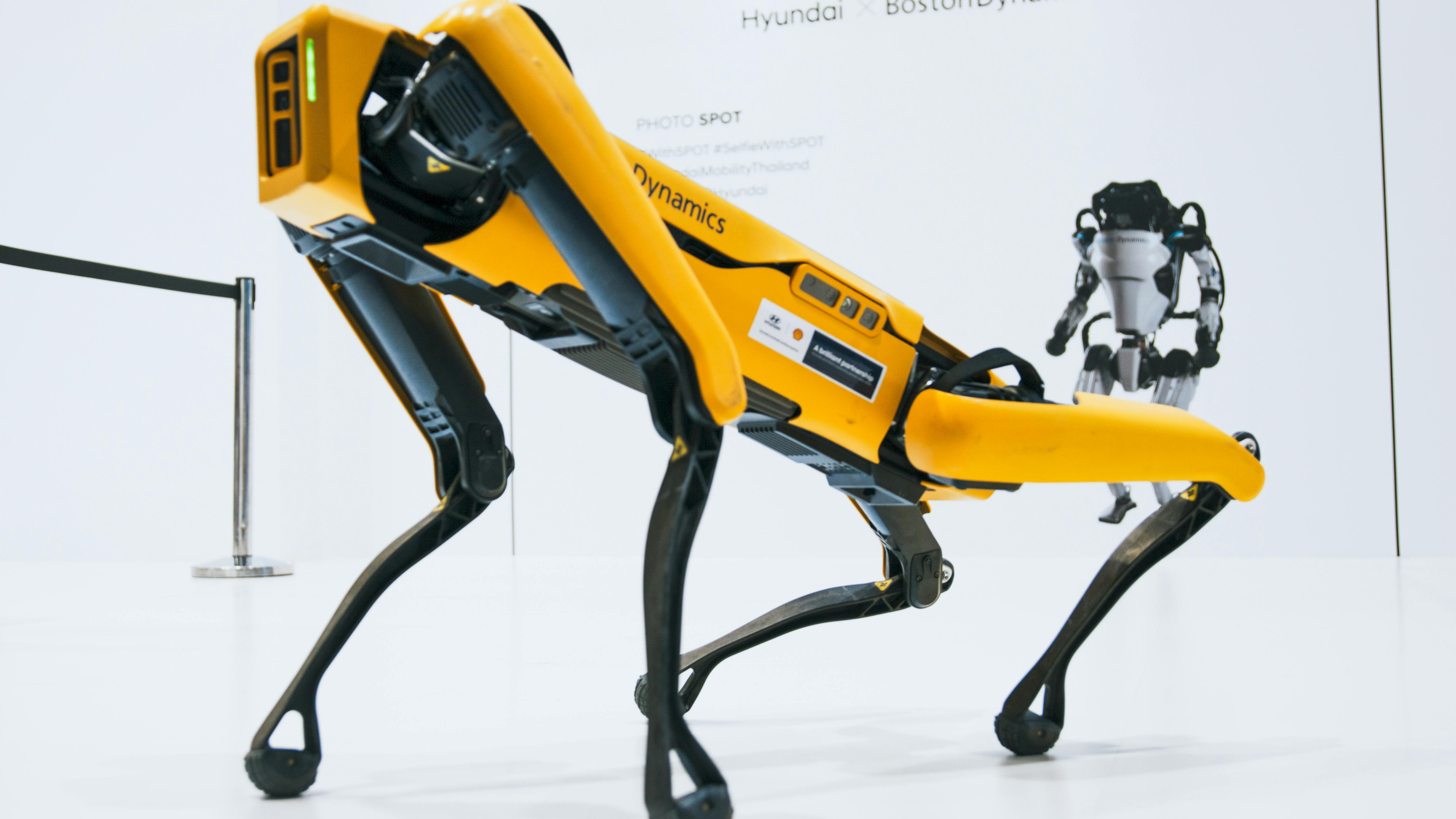 Spot Robots Wow America's Got Talent Stage With Queen Dance Performance