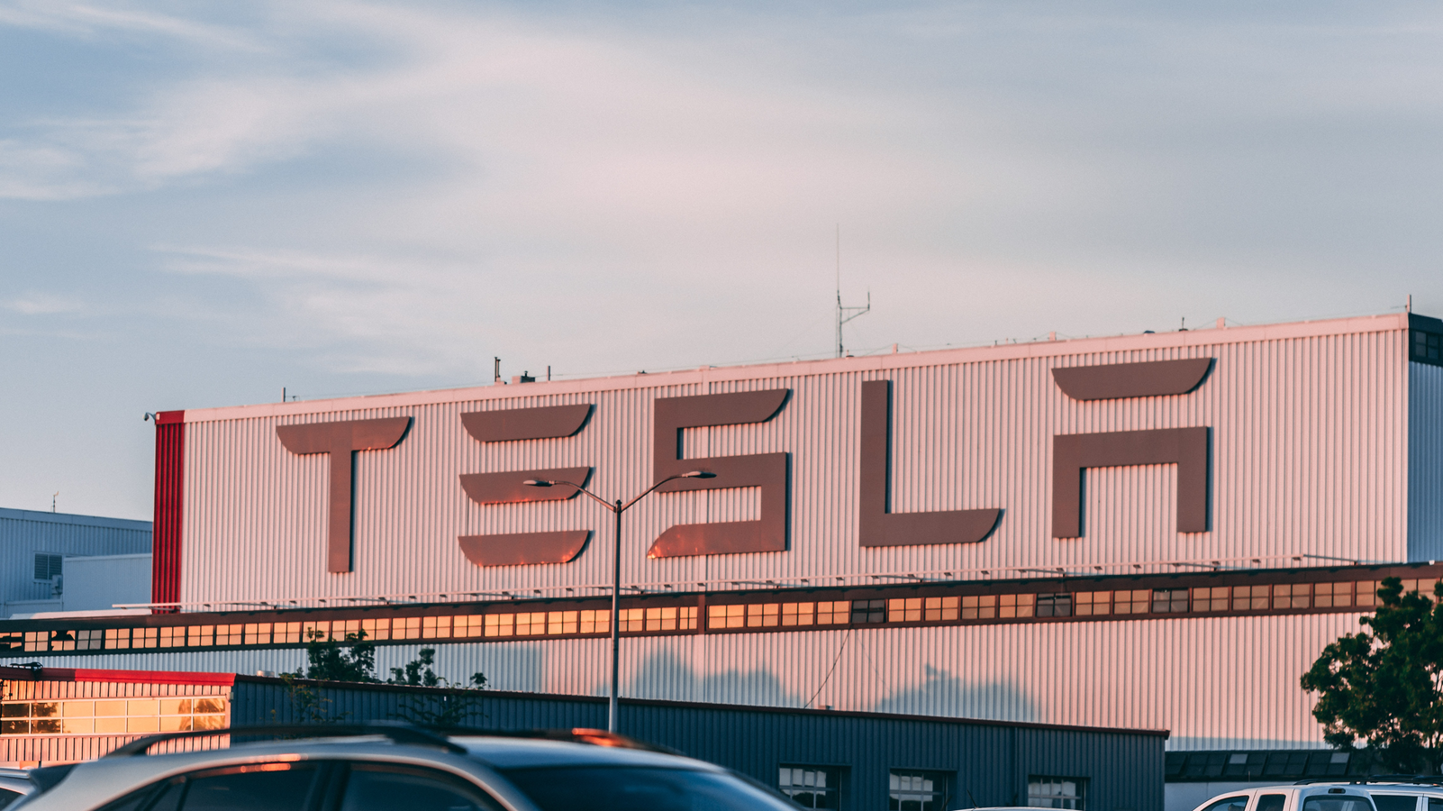 Pexels Craig Adderley 2449452 645aa0a15c9fc