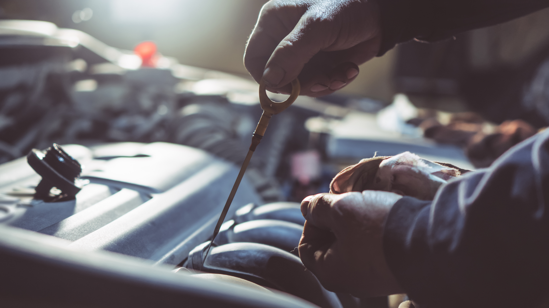 Dreamstime Xxl 164963680