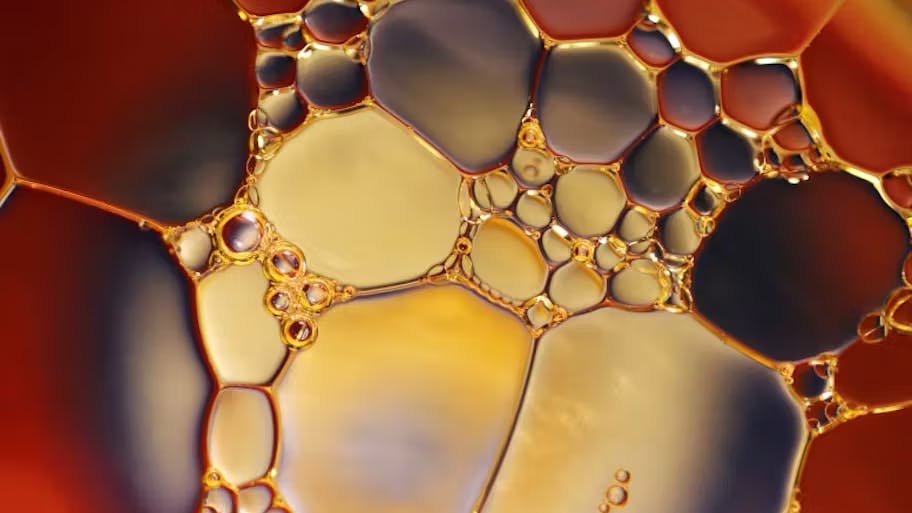 655d15f95e1f56001e165abb Oil O O