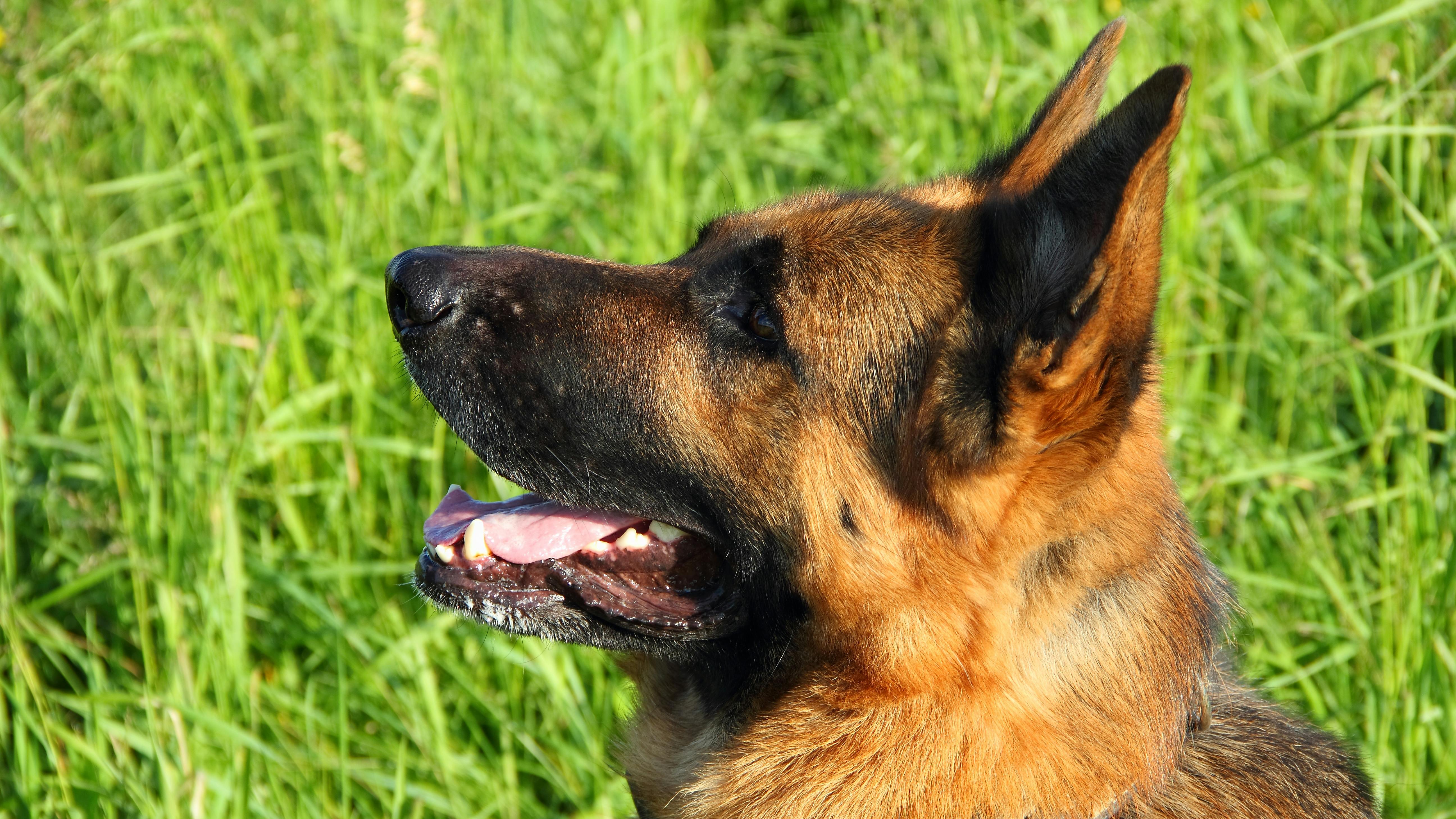 65de2af17661a3001e587499 Dreamstime Xxl 20023734