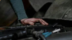 65e24bc229c894001e485a6d Pexelscottonbrostudio7564870 65e24bc229c894001e485a6d Pexelscottonbrostudio7564870