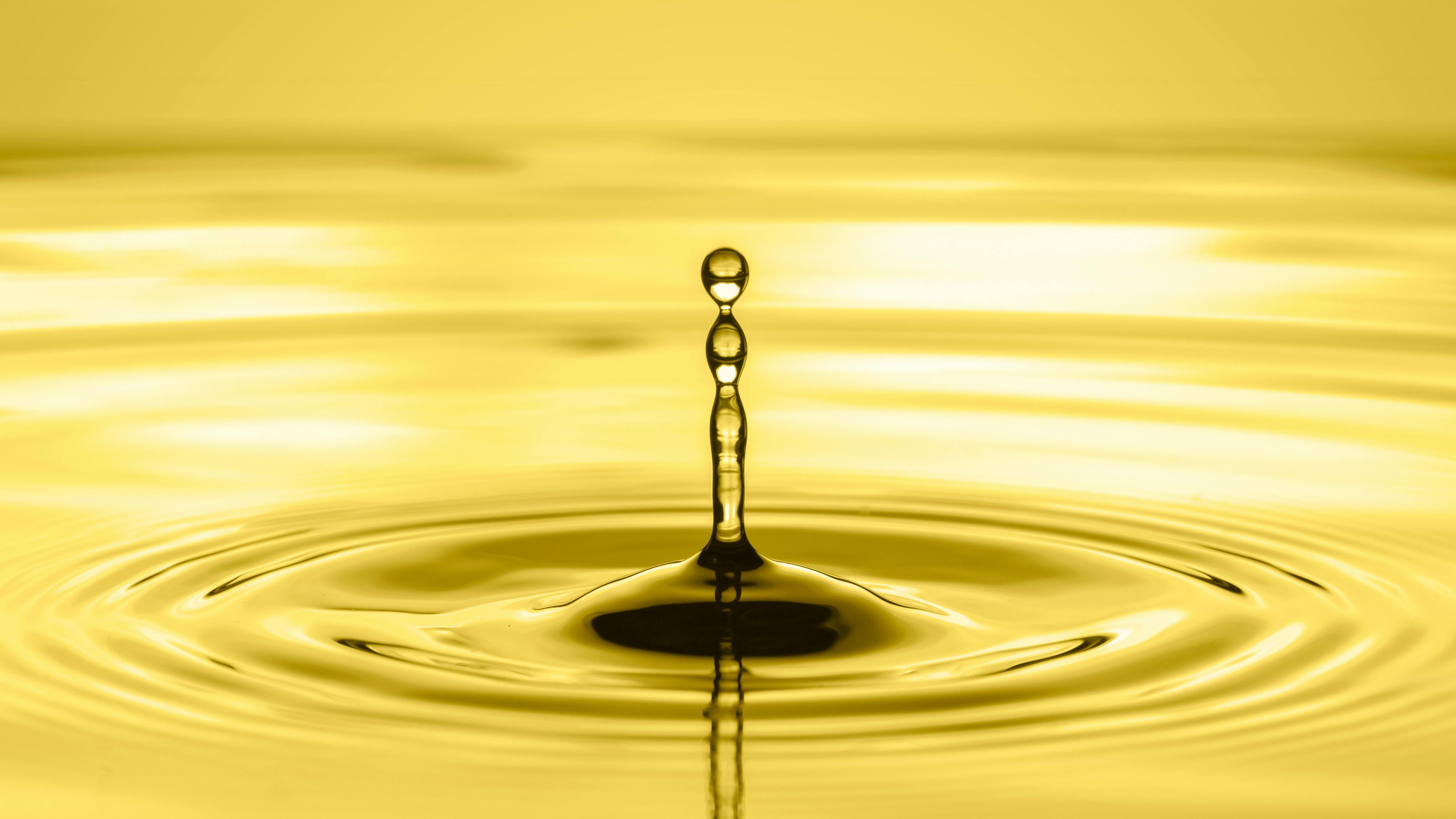 66be22dd13cad1d578e05af9 Adobestock 336122229