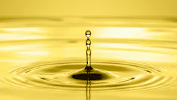 66be22dd13cad1d578e05af9 Adobestock 336122229 66be22dd13cad1d578e05af9 Adobestock 336122229