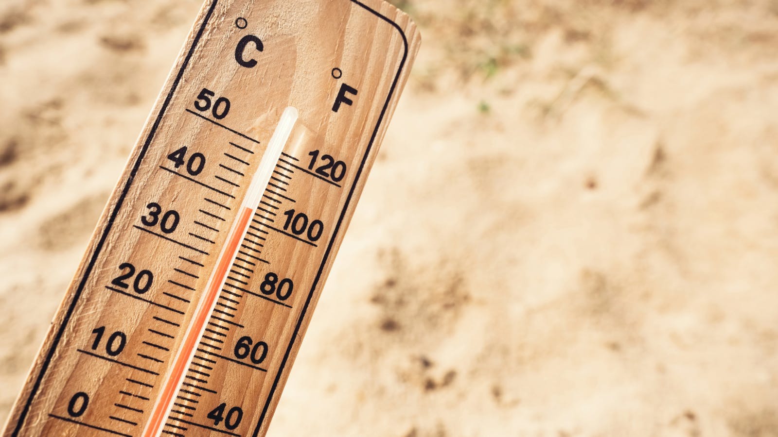 Thermometer