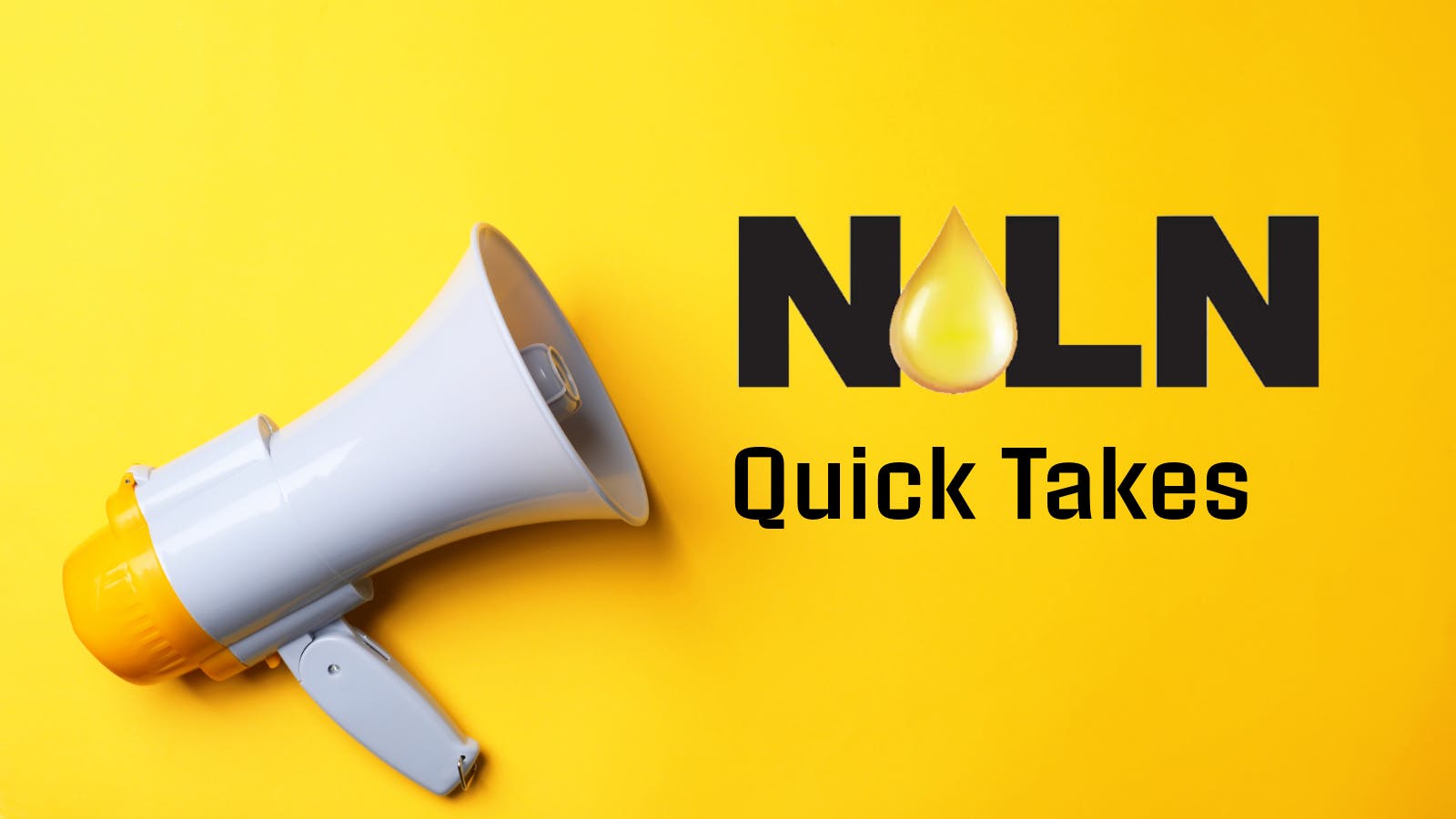 68640ab2fc8030b2f5ca203c Noln Quick Takes