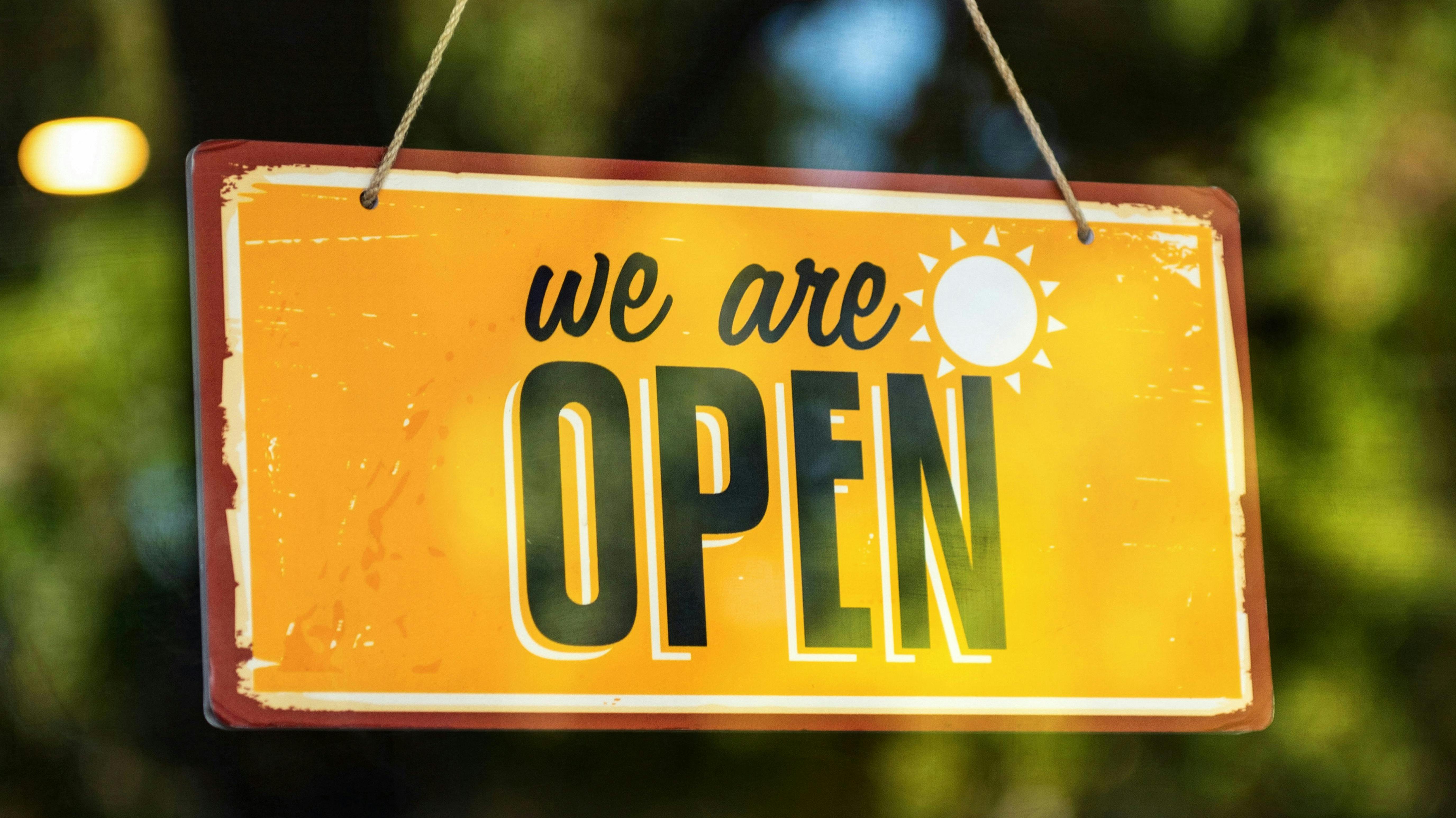 pexelstimmossholder18895423