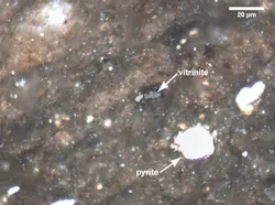 110704ogjxre1 110704ogjxre1