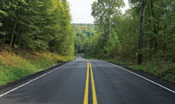 1503uogr M Forest 1503uogr M Forest