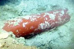 Th 050822ogjtco3 Th 050822ogjtco3