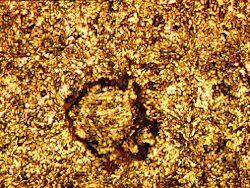 Th 060612ogj Tra7 Th 060612ogj Tra7