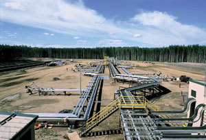 Th 070219ogj Supplement03