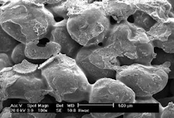 Th 070514ogj Dho04 Th 070514ogj Dho04