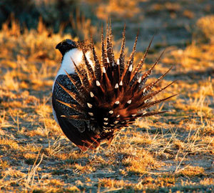 Th 070924ogj Js Di01