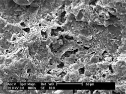 Th 071224ogj Dwy02 Th 071224ogj Dwy02