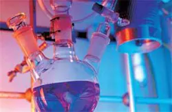 Th 080128egypt24 Th 080128egypt24