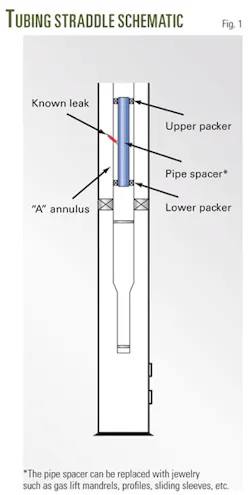 Th 080428ogj Dju01 Th 080428ogj Dju01