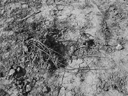 Th 080804ogj Tsm03 Th 080804ogj Tsm03