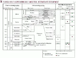 Th 9924jxgo02 Th 9924jxgo02