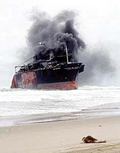 Th Gi Carissa Th Gi Carissa