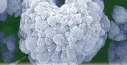 Th Saudi Aramco 01 Th Saudi Aramco 01