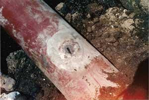 Th Study Examines 01