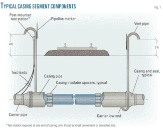 Th Study Investigates 01