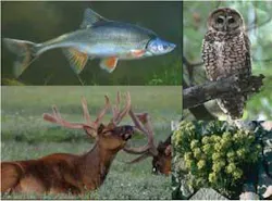 Th Technology May 05 Th Technology May 05