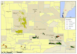 Argentina’s Neuquen basin Argentina’s Neuquen basin