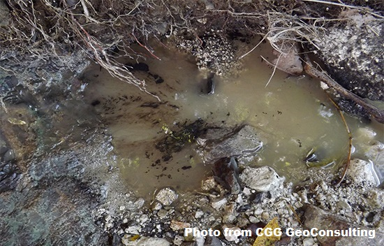 Content Dam Ogj Online Articles 2018 03 180309 Jamaica Seeps 2 Final