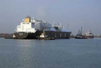 Th 0702ogfj Cap Gracilis 01