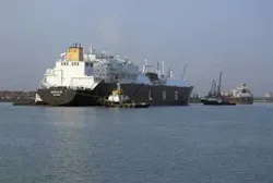 Th 0702ogfj Cap Gracilis 01 Th 0702ogfj Cap Gracilis 01