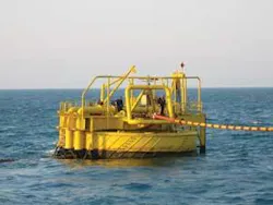 Th 0805ogfjindonesia19 Th 0805ogfjindonesia19