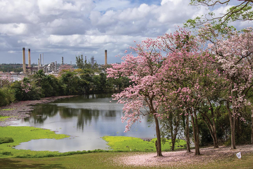 Petrotrin Point A Pierre Refinery
