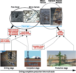 Formation structural illustrations show how multiscale damage pathways affect gas production (Fig. 1).