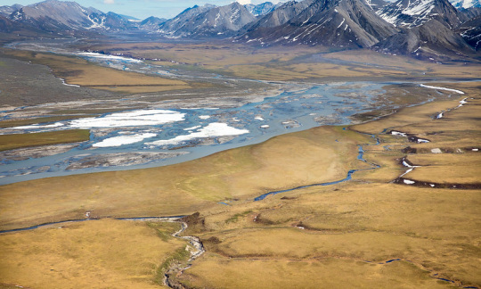 Arctic National Wildlife Refuge.