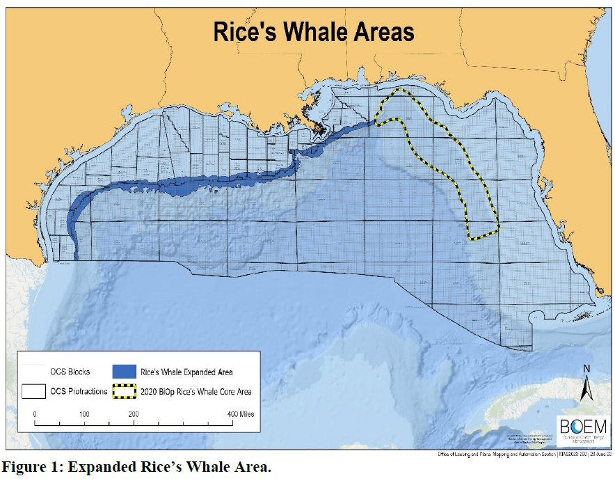 Rice's Whale Areas, Gulf of Mexico.