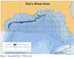 Rice's Whale Areas, Gulf of Mexico. Rice's Whale Areas, Gulf of Mexico.
