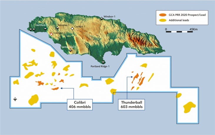 Jamaican Walton Morant License.
