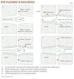 RPM Placement in Rock Matrix (Fig. 1) RPM Placement in Rock Matrix (Fig. 1)