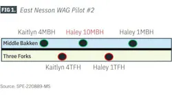 FIG 1. East Nesson WAG Pilot #2 FIG 1. East Nesson WAG Pilot #2