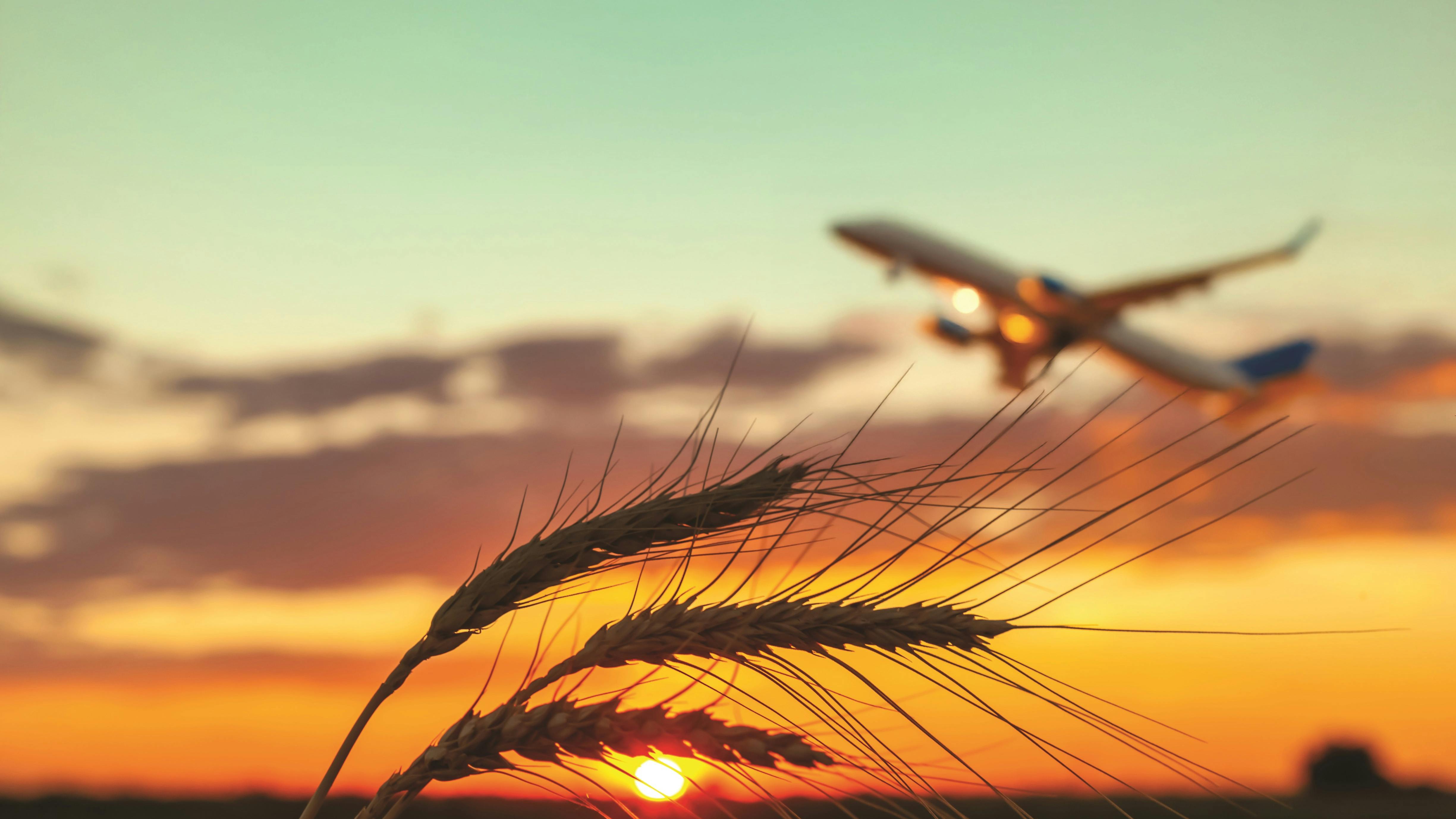 67ec5378d1048b34dca548ff Shutterstock 2499941695