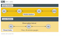 BK1 wells (Fig. 3) BK1 wells (Fig. 3)